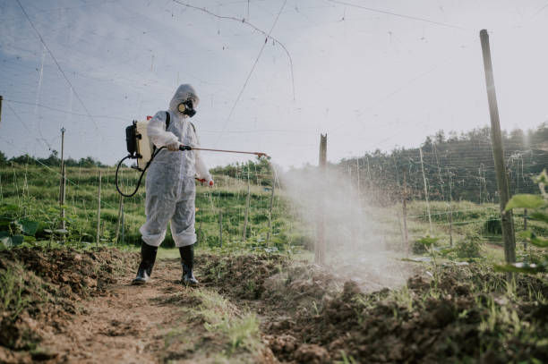 Best Best Pest Control Companies  in Le Grand, CA