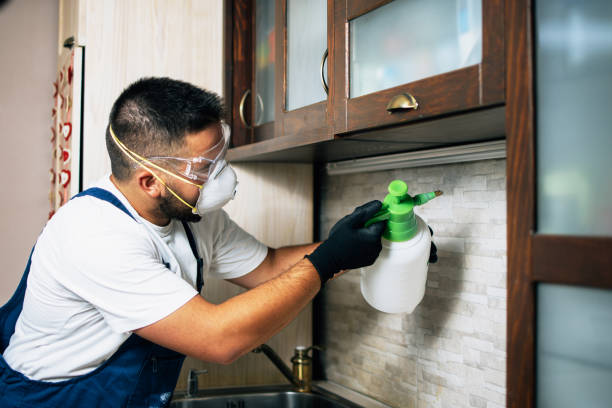 Best Ant Control Services  in Le Grand, CA