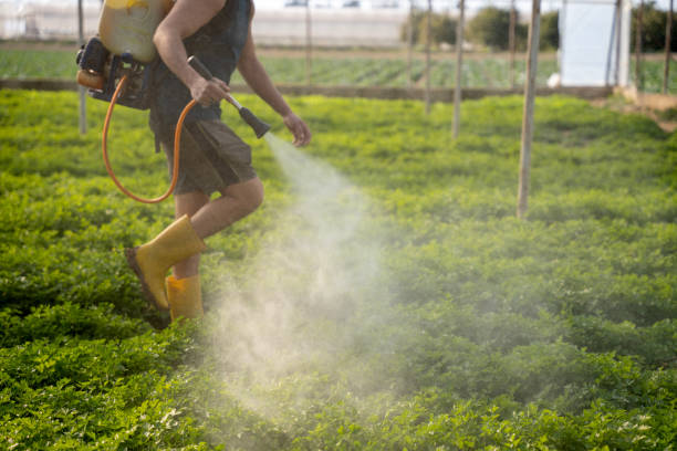 Best Mosquito Control Services  in Le Grand, CA