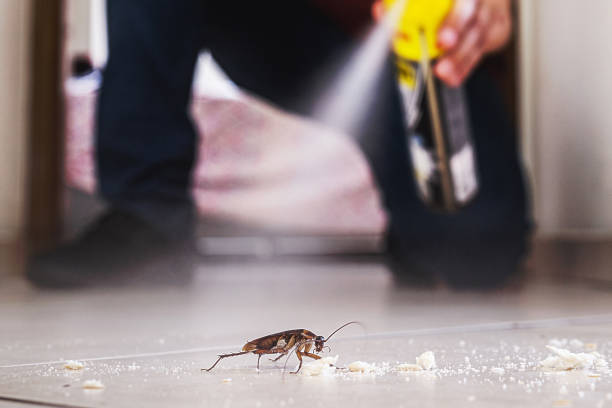 Best Local Pest Control Services  in Le Grand, CA
