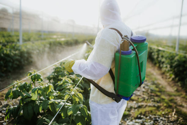 Pest Prevention Services in Le Grand, CA